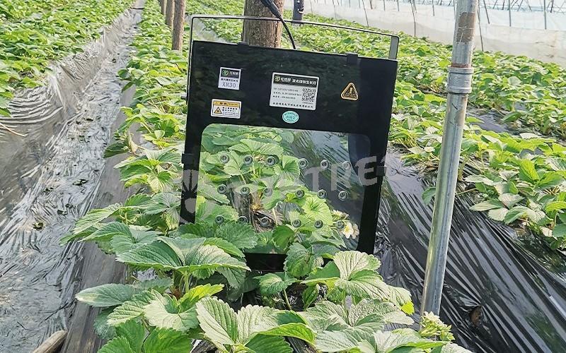 TOPTREE Grow Light Laser Plant Growth Light Laser Lighting Device for Plant Growth