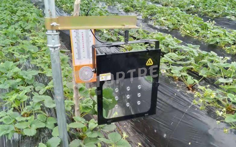 TOPTREE Grow Light Laser Plant Growth Light Laser Lighting Device for Plant Growth